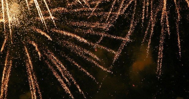 How to Prepare Your Pets & Farm Animals for Firework Season