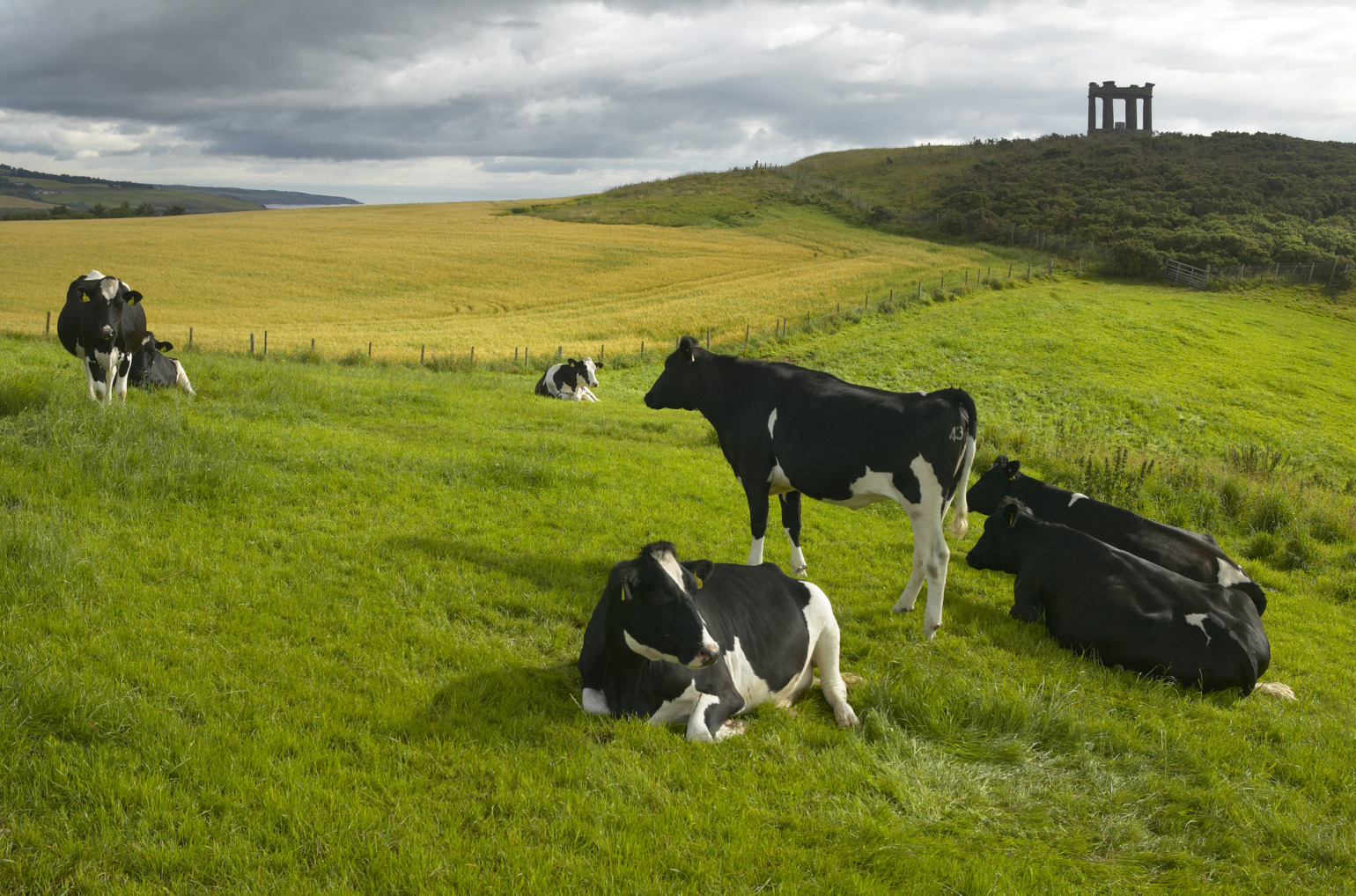 Welcome to Farm Vet Supplies, a Northern Ireland (UK) based Veterinary Practice. We we are dedicated to providing top quality vet supplies and equipment to farmers, veterinary practices and pet owners across Northern Ireland & the UK.
We stock a wide range of products, for every season – calving, lambing, weaning, dosing, drying off cows, housing and worming. All at very competitive prices and we can deliver your order of farm veterinary supplies directly to your door to save you time and money.
We are here and happy to help your business save money!