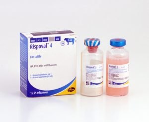 Rispoval 4 - 5 dose, POM-V (Fridge) - Farm Vet Supplies