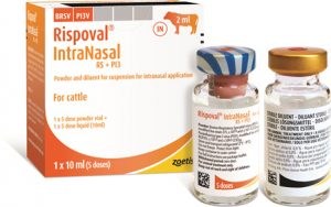 Rismol Injection Rispoval Intranasal RS+PI3 (with nasal applicators), POM-V (Fridge ...