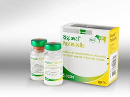 Rispoval Rispoval Pasteurella, POM-V (Fridge) - Farm Vet Supplies