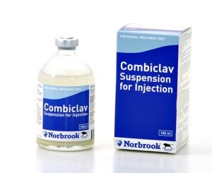 Combiclav Injection 100ml, POM-V - Farm Vet Supplies