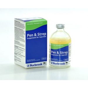 Pen & Strep Injection 100ml, POM-V (fridge)