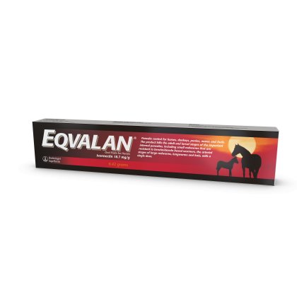 Eqvalan Oral Paste for Horses (Ivermectin 18.7 mg/g) 6.42g (POM-VPS)