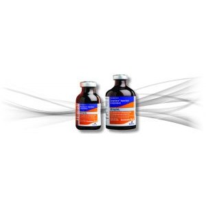 Carprieve 50mg/ml 50ml, POM-V