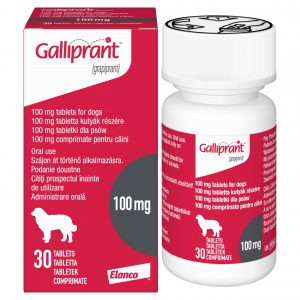 Galliprant Tablets For Dogs, POM-V