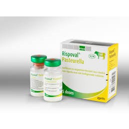 Rispoval Pasteurella, POM-V (Fridge) Rispoval Pasteurella, POM-V (Fridge)