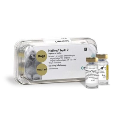 Nobivac Lepto 2 injection for dogs 1s POM-V (Fridge)