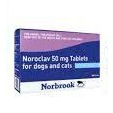 Noroclav Tablets for cats & Dogs 50MG (EACH), POM-V Noroclav Tablets for cats & Dogs 50MG (EACH), POM-V