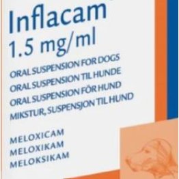 Inflacam 1.5mg/mL oral suspension for dogs