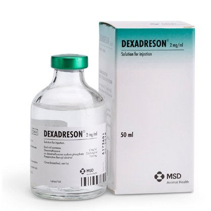 Dexadreson 50ml, POM-V