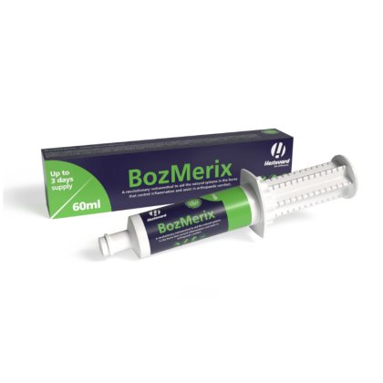 HESTEVARD EQUINE BOZMERIX PASTE 60ml syringe HESTEVARD EQUINE BOZMERIX PASTE 60ml syringe