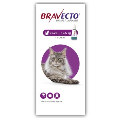 Bravecto Spot On Cat 1 dose POM-V