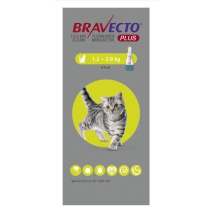 Bravecto PLUS Spot On for Cats. 1 dose POM-V