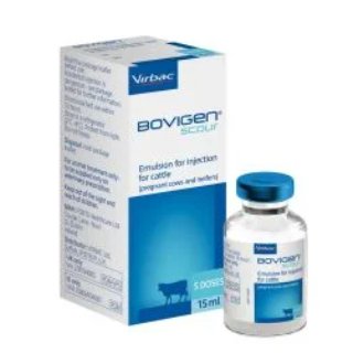 Bovigen Scour Emulsion for Injection for Cattle, POM-VPS (Fridge) Bovigen Scour Emulsion for Injection for Cattle, POM-VPS (Fridge)