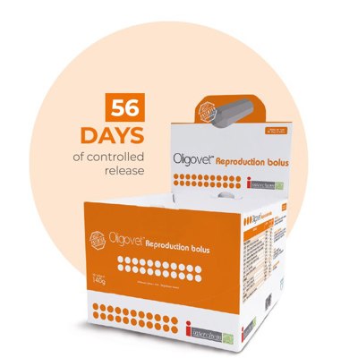 Oligovet Reproduction 12 x 140g