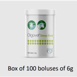 Oligovet Sheep/Goat 6gx100