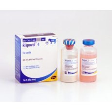 Rispoval 4 - 5 dose, POM-V (Fridge) Rispoval 4 - 5 dose, POM-V (Fridge)
