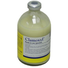 Clamoxyl RTU injection, POM-V Clamoxyl RTU injection, POM-V
