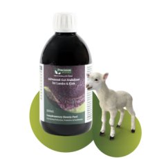 Precision Microbes Advanced Gut Stabiliser for Lambs 300ml