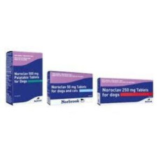 Noroclav Tablets for Dogs (EACH), POM-V Noroclav Tablets for Dogs (EACH), POM-V