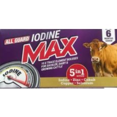 ALL GUARD IODINE MAX 10s
