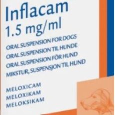 Inflacam 1.5mg/mL oral suspension for dogs Inflacam 1.5mg/mL oral suspension for dogs