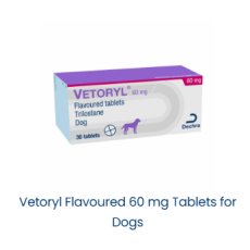 Vetoryl Chewable Tablets for Dogs