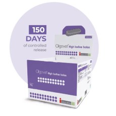 Oligovet Iodine Bolus 75g