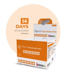 Oligovet Reproduction 12 x 140g