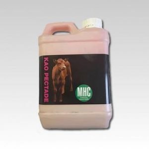 Kao Pectade - Calf Scour Mix 2 Litre
