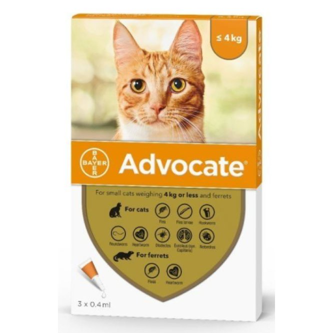 Advocate Cat Spot On, POM-V Advocate Cat Spot On, POM-V