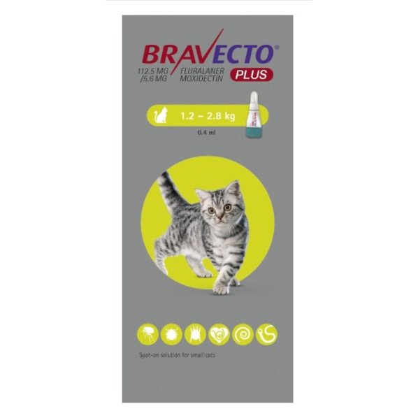 Bravecto PLUS Spot On for Cats. 1 dose POM-V Bravecto PLUS Spot On for Cats. 1 dose POM-V