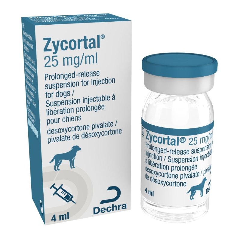 Zycortal 25 mg/ml Prolonged-release Suspension for Injection for Dogs 4ml POM-V Zycortal 25 mg/ml Prolonged-release Suspension for Injection for Dogs 4ml POM-V