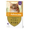 Advocate Cat Spot On, POM-V Advocate Cat Spot On, POM-V
