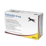 Palladia Film-Coated Tablets for Dogs 1x20 POM-V Palladia Film-Coated Tablets for Dogs 1x20 POM-V