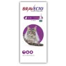 Bravecto Spot On Cat 1 dose POM-V Bravecto Spot On Cat 1 dose POM-V