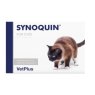 Synoquin Cat Capsules 1x90