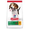 Hills SP Puppy Medium(>1 year)Dry Dog Chicken Flavour